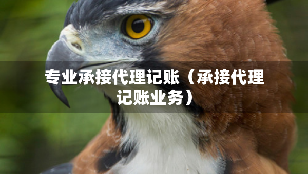 專業(yè)承接代理記賬（承接代理記賬業(yè)務(wù)）