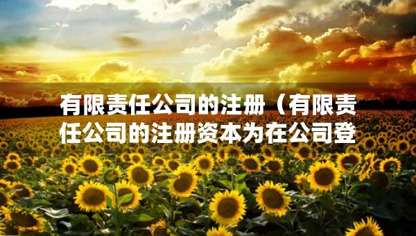 有限責(zé)任公司的注冊（有限責(zé)任公司的注冊資本為在公司登記機(jī)關(guān)）