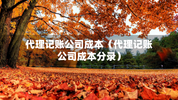 代理記賬公司成本（代理記賬公司成本分錄）