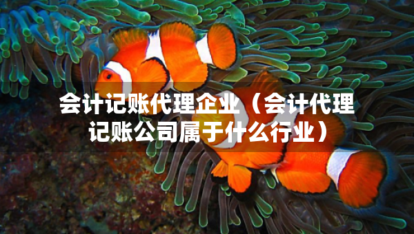 會計記賬代理企業(yè)（會計代理記賬公司屬于什么行業(yè)）