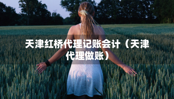 天津紅橋代理記賬會(huì)計(jì)（天津代理做賬）