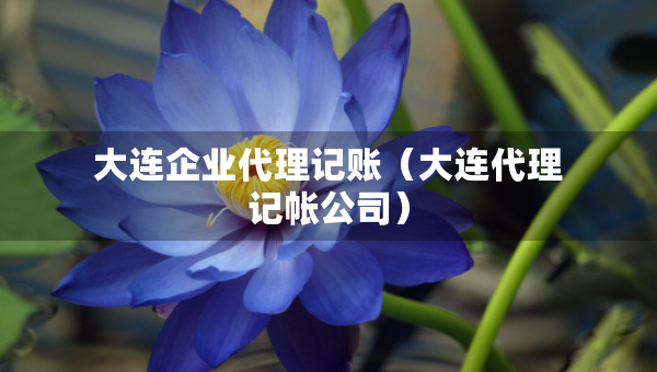 大連企業(yè)代理記賬（大連代理記帳公司）