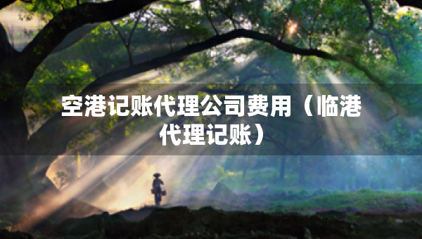 空港記賬代理公司費(fèi)用（臨港代理記賬）