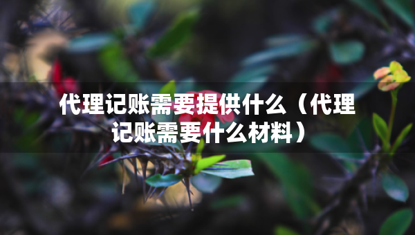代理記賬需要提供什么（代理記賬需要什么材料）