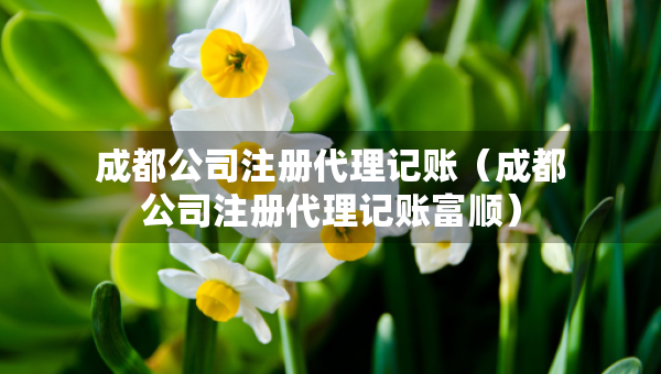 成都公司注冊(cè)代理記賬（成都公司注冊(cè)代理記賬富順）