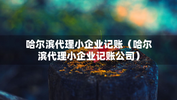 哈爾濱代理小企業(yè)記賬（哈爾濱代理小企業(yè)記賬公司）