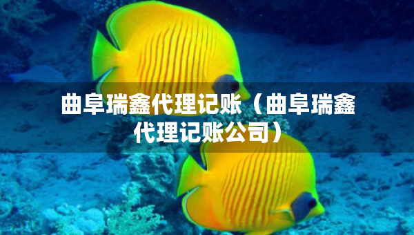 曲阜瑞鑫代理記賬（曲阜瑞鑫代理記賬公司）