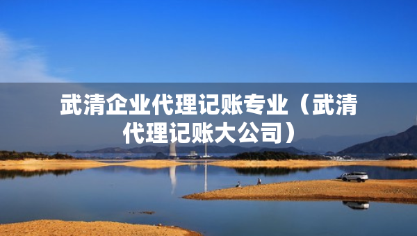 武清企業(yè)代理記賬專(zhuān)業(yè)（武清代理記賬大公司）