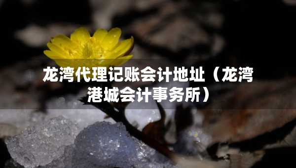 龍灣代理記賬會(huì)計(jì)地址（龍灣港城會(huì)計(jì)事務(wù)所）