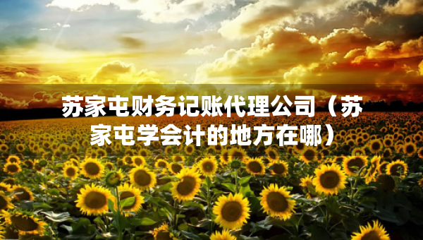 蘇家屯財務(wù)記賬代理公司（蘇家屯學(xué)會計的地方在哪）