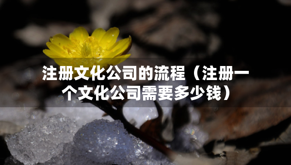 注冊(cè)文化公司的流程（注冊(cè)一個(gè)文化公司需要多少錢）