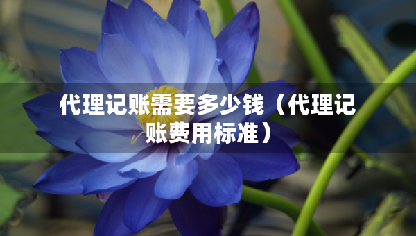 代理記賬需要多少錢（代理記賬費(fèi)用標(biāo)準(zhǔn)）