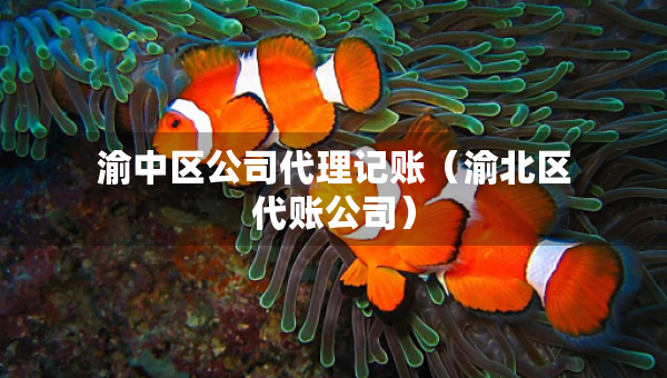 渝中區(qū)公司代理記賬（渝北區(qū)代賬公司）