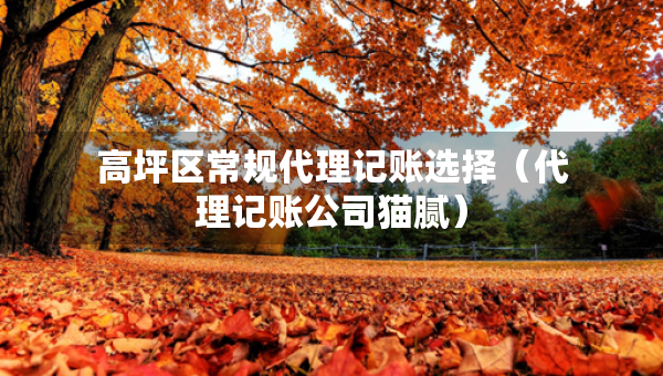 高坪區(qū)常規(guī)代理記賬選擇（代理記賬公司貓膩）