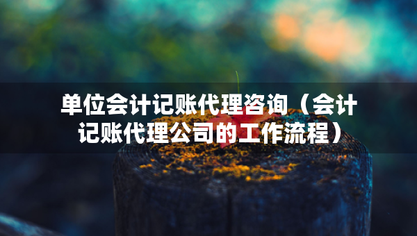 單位會計記賬代理咨詢（會計記賬代理公司的工作流程）