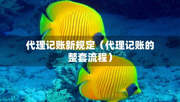 代理記賬新規(guī)定（代理記賬的整套流程）