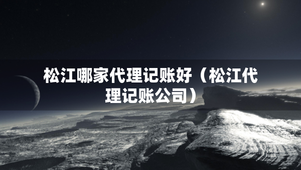 松江哪家代理記賬好（松江代理記賬公司）