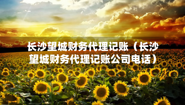 長(zhǎng)沙望城財(cái)務(wù)代理記賬（長(zhǎng)沙望城財(cái)務(wù)代理記賬公司電話）