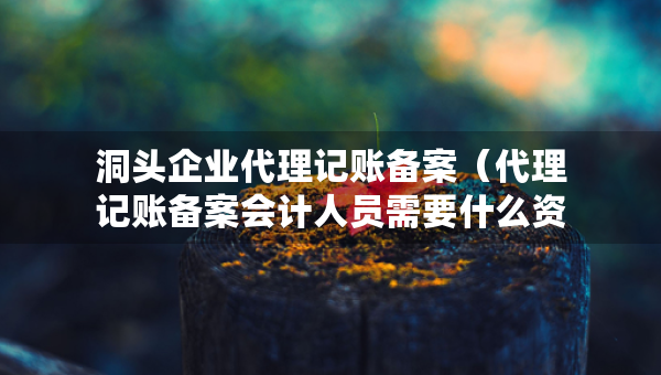 洞頭企業(yè)代理記賬備案（代理記賬備案會計(jì)人員需要什么資料）