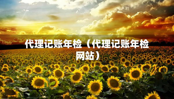 代理記賬年檢（代理記賬年檢網(wǎng)站）