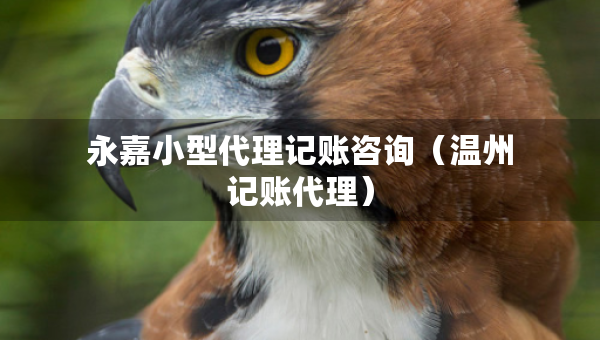 永嘉小型代理記賬咨詢（溫州記賬代理）
