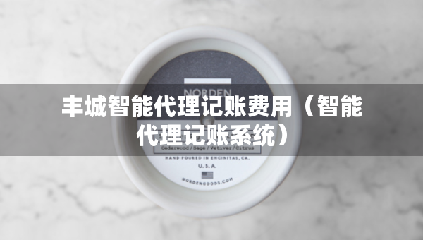 豐城智能代理記賬費用（智能代理記賬系統(tǒng)）