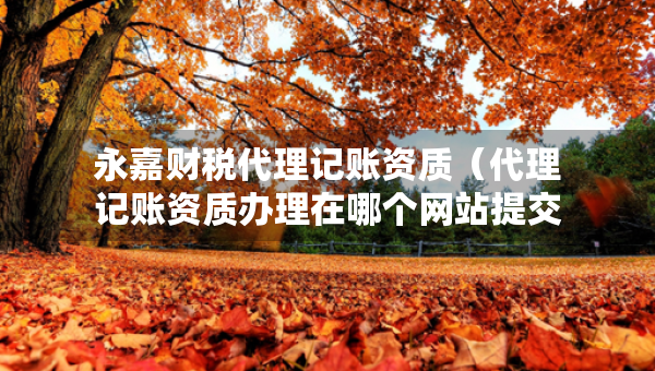 永嘉財稅代理記賬資質(zhì)（代理記賬資質(zhì)辦理在哪個網(wǎng)站提交申請）