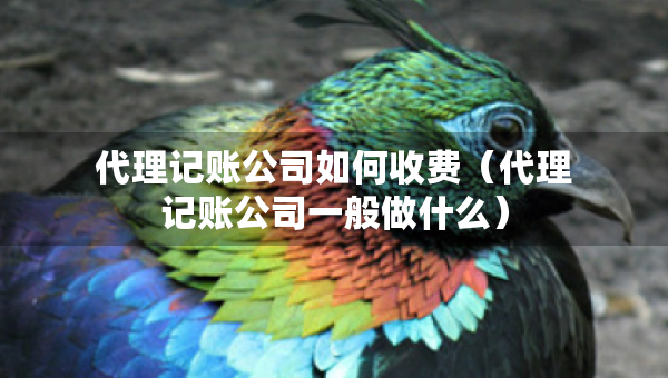 代理記賬公司如何收費(fèi)（代理記賬公司一般做什么）