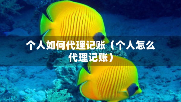 個人如何代理記賬（個人怎么代理記賬）