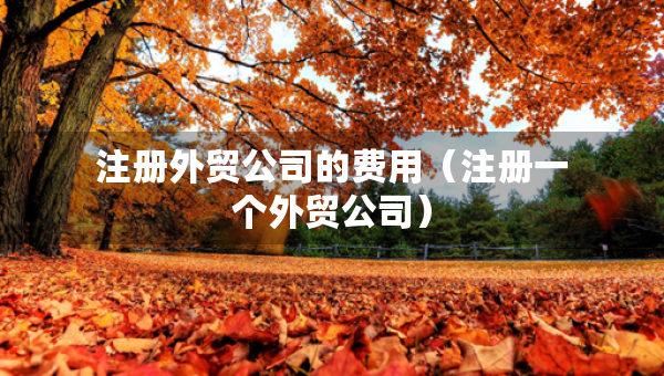 注冊外貿(mào)公司的費用（注冊一個外貿(mào)公司）