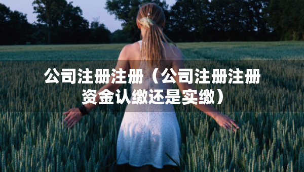 公司注冊(cè)注冊(cè)（公司注冊(cè)注冊(cè)資金認(rèn)繳還是實(shí)繳）