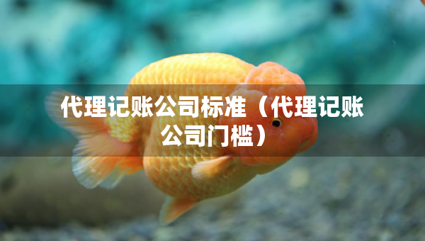 代理記賬公司標(biāo)準(zhǔn)（代理記賬公司門檻）