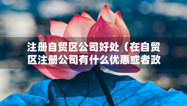 注冊(cè)自貿(mào)區(qū)公司好處（在自貿(mào)區(qū)注冊(cè)公司有什么優(yōu)惠或者政策）