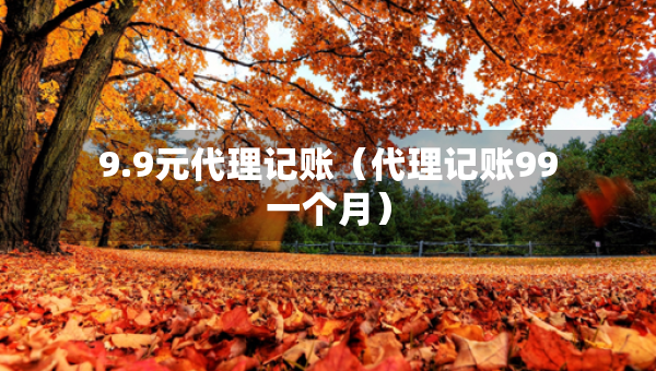 9.9元代理記賬（代理記賬99一個(gè)月）