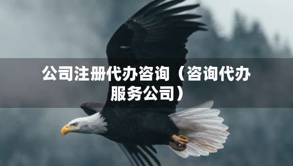 公司注冊代辦咨詢（咨詢代辦服務(wù)公司）