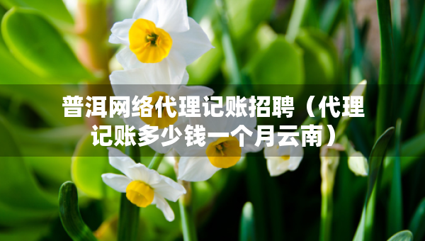 普洱網(wǎng)絡(luò)代理記賬招聘（代理記賬多少錢一個(gè)月云南）