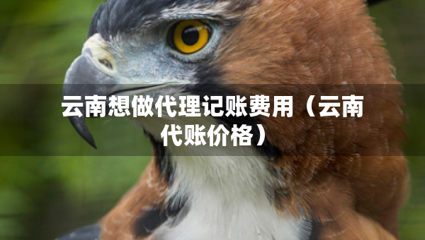 云南想做代理記賬費用（云南代賬價格）