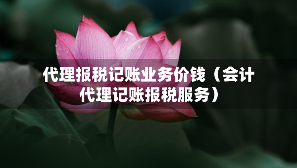 代理報稅記賬業(yè)務價錢（會計代理記賬報稅服務）