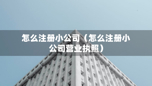 怎么注冊小公司（怎么注冊小公司營業(yè)執(zhí)照）