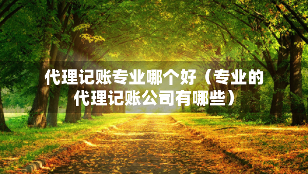 代理記賬專業(yè)哪個好（專業(yè)的代理記賬公司有哪些）
