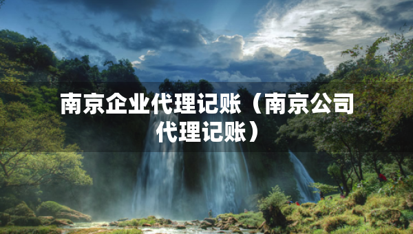 南京企業(yè)代理記賬（南京公司代理記賬）