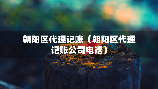朝陽區(qū)代理記賬（朝陽區(qū)代理記賬公司電話）