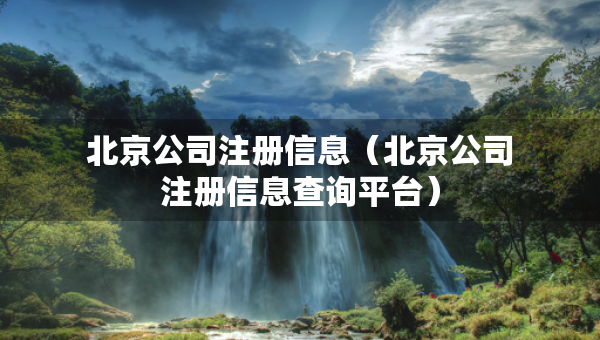 北京公司注冊信息（北京公司注冊信息查詢平臺）