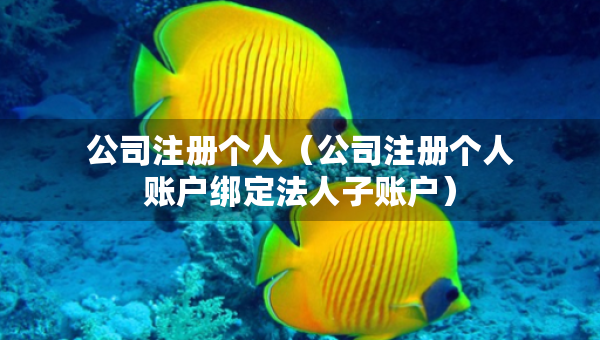公司注冊個人（公司注冊個人賬戶綁定法人子賬戶）