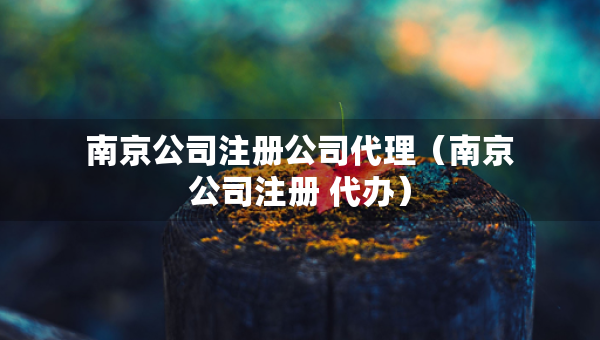 南京公司注冊(cè)公司代理（南京公司注冊(cè) 代辦）