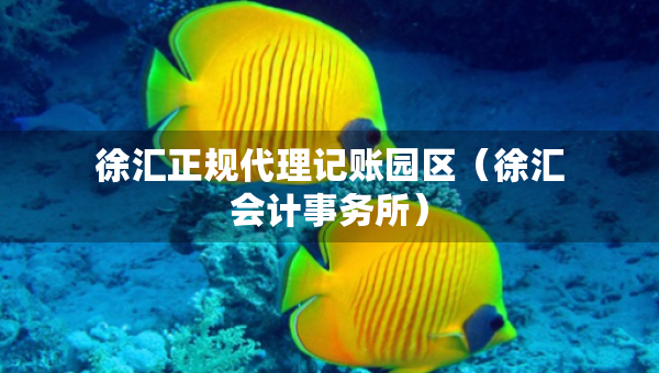 徐匯正規(guī)代理記賬園區(qū)（徐匯會計事務(wù)所）
