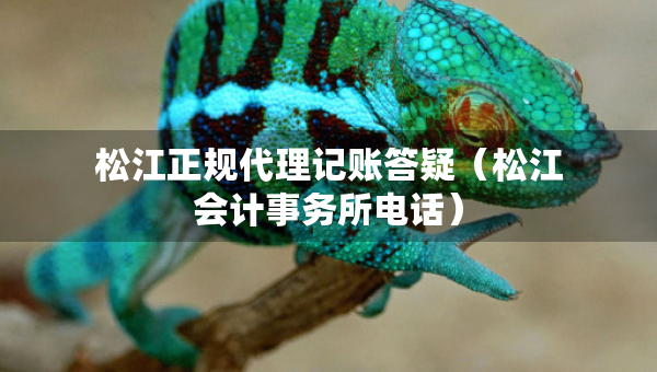 松江正規(guī)代理記賬答疑（松江會(huì)計(jì)事務(wù)所電話）