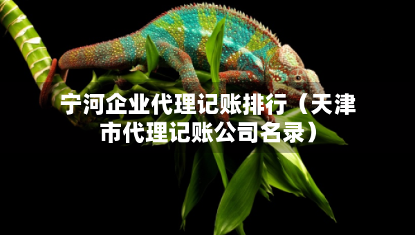 寧河企業(yè)代理記賬排行（天津市代理記賬公司名錄）