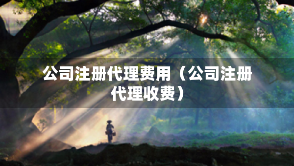 公司注冊(cè)代理費(fèi)用（公司注冊(cè)代理收費(fèi)）
