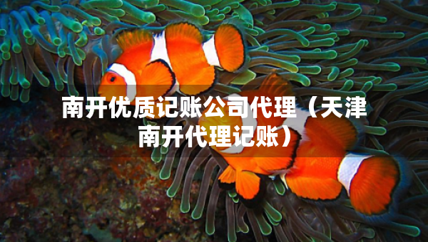 南開(kāi)優(yōu)質(zhì)記賬公司代理（天津南開(kāi)代理記賬）